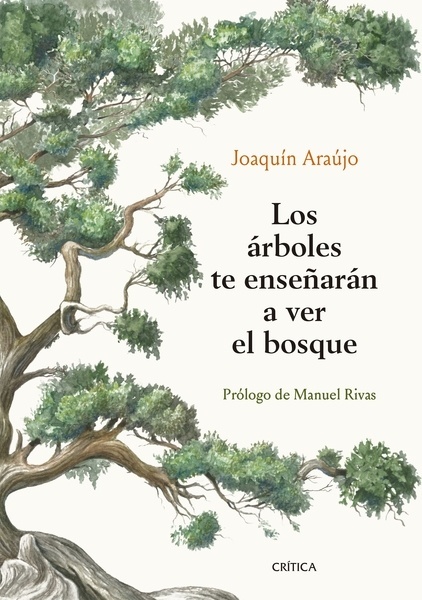 Los árboles te enseñarán a ver el bosque "Prólogo de Manuel Rivas"