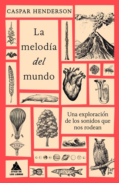 La melodía del mundo "Una exploración de los sonidos que nos rodean"
